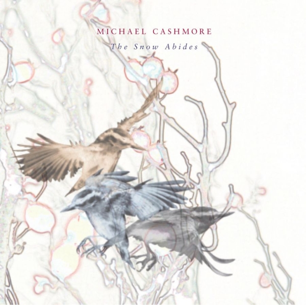 Cashmore Michael - Snow Abides i gruppen CD / Toppselgere hos Bengans Skivbutik AB (640333)