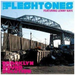 Fleshtones - Brooklyn Sound Solution i gruppen CD hos Bengans Skivbutik AB (641088)