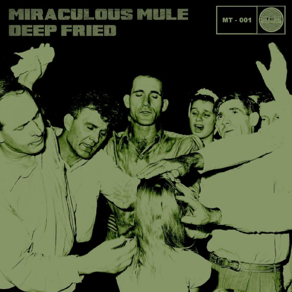 Miraculous Mule - Deep Fried i gruppen CD / Toppselgere hos Bengans Skivbutik AB (642801)