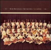 Bob Brozman Orchestra - Lumière i gruppen CD hos Bengans Skivbutik AB (647272)