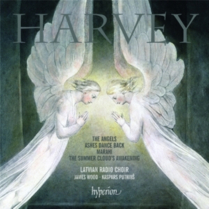 Harvey - The Angels i gruppen Externt_Lager / Naxoslager hos Bengans Skivbutik AB (651446)