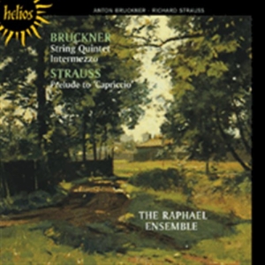 Bruckner - String Quartet i gruppen CD hos Bengans Skivbutik AB (654067)