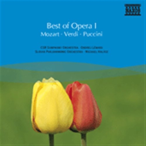 Various - Best Of Opera I i gruppen CD / Toppselgere hos Bengans Skivbutik AB (658820)