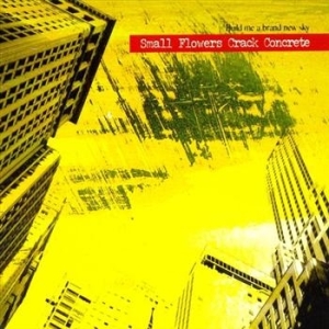 Small Flowers Crack Concrete - Build Me A Brand New Sky i gruppen CD hos Bengans Skivbutik AB (661481)