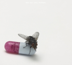 RED HOT CHILI PEPPERS - I'M WITH YOU i gruppen CD hos Bengans Skivbutik AB (662005)