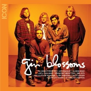 Gin Blossoms - Icon i gruppen CD hos Bengans Skivbutik AB (662584)