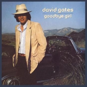 Gates David - Goodbye Girl i gruppen CD / Rock hos Bengans Skivbutik AB (667145)