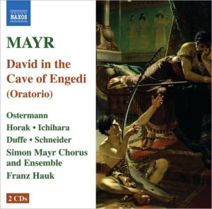 Mayr - David i gruppen CD hos Bengans Skivbutik AB (672852)