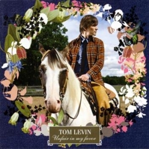 Tom Levin - Unfair In My Favor i gruppen CD / Rock hos Bengans Skivbutik AB (674394)