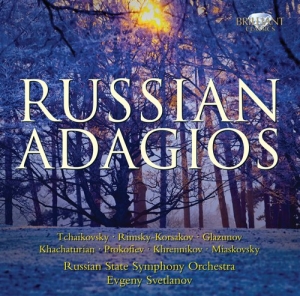 Various Composers - Russian Adagios i gruppen CD hos Bengans Skivbutik AB (684951)