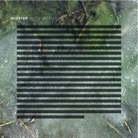 Qluster - Antworten i gruppen CD / Pop-Rock hos Bengans Skivbutik AB (691859)