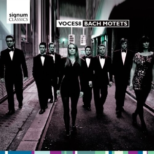 Bach J S - Bach Motets i gruppen CD hos Bengans Skivbutik AB (693394)