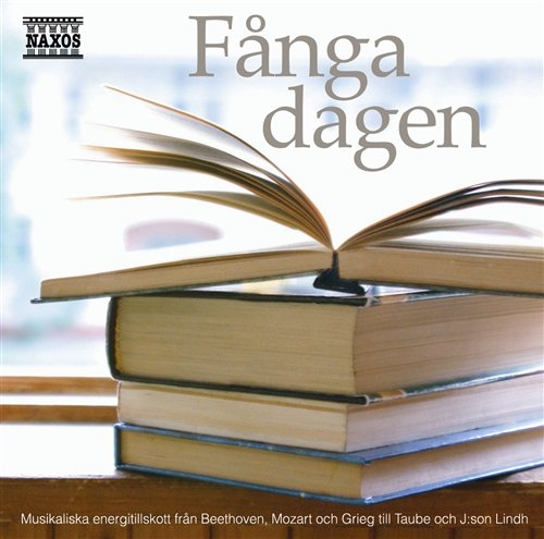 Various - Fånga Dagen i gruppen CD hos Bengans Skivbutik AB (694693)