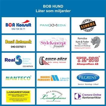 Bob Hund - Låter Som Miljarder i gruppen CD / Pop hos Bengans Skivbutik AB (697751)