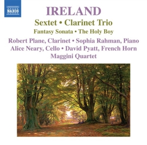 Ireland - Sextet i gruppen CD hos Bengans Skivbutik AB (698280)