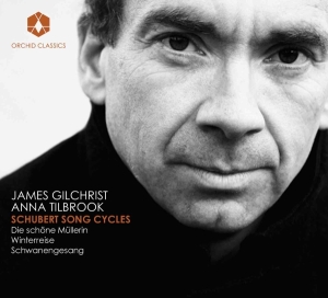 James Gilchrist - Song Cycles i gruppen CD hos Bengans Skivbutik AB (708654)