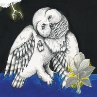 Songs: Ohia - Magnolia Electric Co. (Deluxe Ed.) i gruppen -Start Vinyl hos Bengans Skivbutik AB (780812)