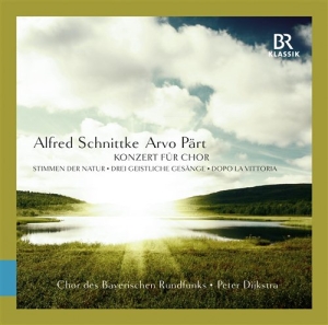 Schnittke / Pärt - Works For Choir i gruppen CD hos Bengans Skivbutik AB (902079)