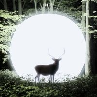 Lite - Installation i gruppen CD hos Bengans Skivbutik AB (946581)