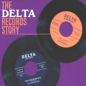 Blandade Artister - Delta Records Story i gruppen CD / Blues,Jazz hos Bengans Skivbutik AB (949010)