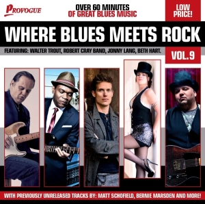 Various - Where Blues Meets Rock 9 i gruppen Annet /  hos Bengans Skivbutik AB (950927)