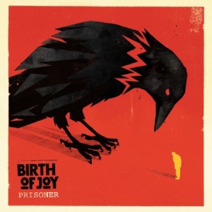 Birth Of Joy - Prisoner i gruppen CD hos Bengans Skivbutik AB (952449)