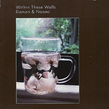 Damon And Naomi - Within These Walls i gruppen CD / Toppselgere hos Bengans Skivbutik AB (956272)