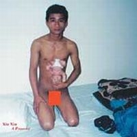 Xiu Xiu - A Promise i gruppen CD hos Bengans Skivbutik AB (989998)