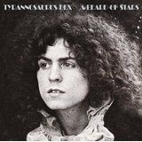 Tyrannosaurus Rex - A Beard Of Stars i gruppen CD / Pop hos Bengans Skivbutik AB (1004648)