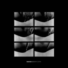 Vaniish - Memory Work i gruppen CD hos Bengans Skivbutik AB (1049825)