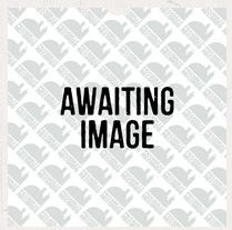 Chain And The Gang - Never Been Properly Loved i gruppen VINYL hos Bengans Skivbutik AB (1060776)