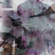 Indigo Mist - That The Days Go By And Never... (1 i gruppen VINYL hos Bengans Skivbutik AB (1100029)