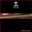 Pirates - Land Of The Blind i gruppen CD / Rock hos Bengans Skivbutik AB (1131470)