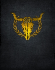 25 Years Of Wacken - Snapshots - 25 Years Of Wacken - Snapshots