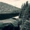 Negura Bunget - Tau i gruppen CD hos Bengans Skivbutik AB (1183269)