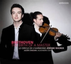 Beethoven - The Birth Of A Master