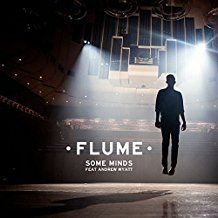 Flume - Some Minds i gruppen VINYL hos Bengans Skivbutik AB (1528778)
