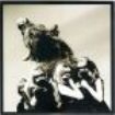 Dead Weather - I Cut Like A Buffalo i gruppen VINYL hos Bengans Skivbutik AB (1816051)