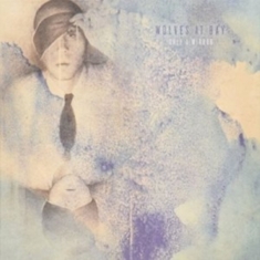 Wolves At Bay - Only A Mirror