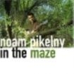 Pikelny Noam - In The Maze i gruppen CD hos Bengans Skivbutik AB (1968815)