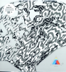 Aa - Zebraa