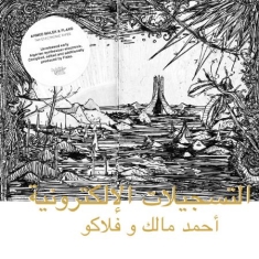 Ahmed Malek & Flako - The Electronic Tapes