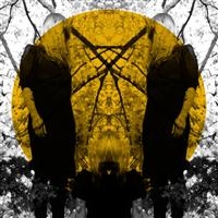 Austra - Feel It Break