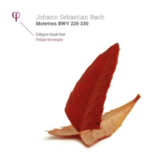 Collegium Vocale Gent Philippe Her - Motetten Bwv 225-230 (2 Lp)