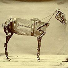 Chadwick Stokes - The Horse Comanche i gruppen CD hos Bengans Skivbutik AB (2432492)