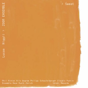 Lucas Niggli Zoom Ensemble - Sweat