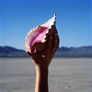 The Killers - Wonderful Wonderful (Vinyl)
