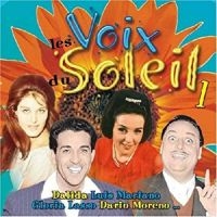Blandade Artister - Le Soleil Dans La Voix