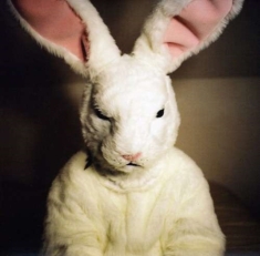 Georgias Horse - Mammoth Session