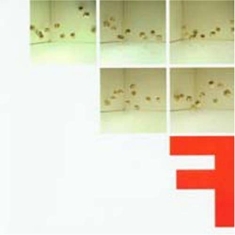 Fontanelle - F